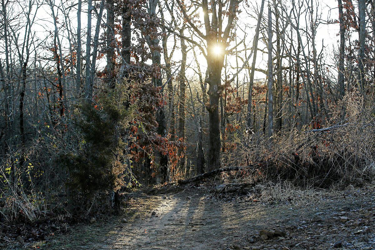 Turkey Mountain